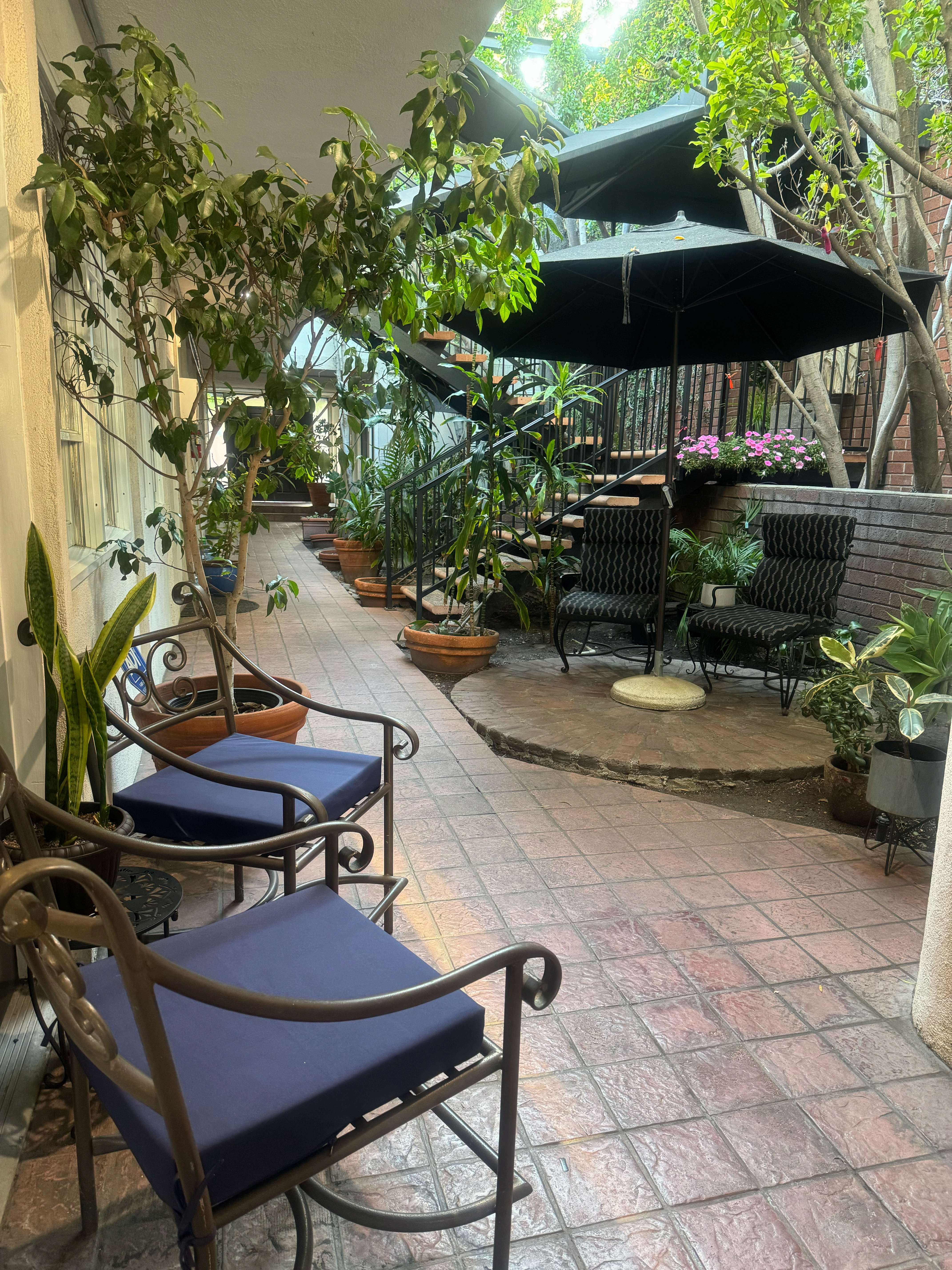 Garden oasis at the office entrance